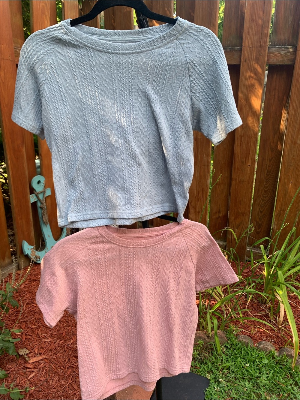 Women a Textured Short Sleeve Crop Tops - Light Blue and Dusty Pink
